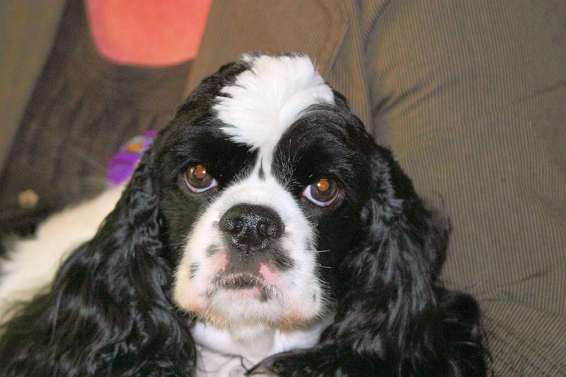 JH dag 2008 049.jpg